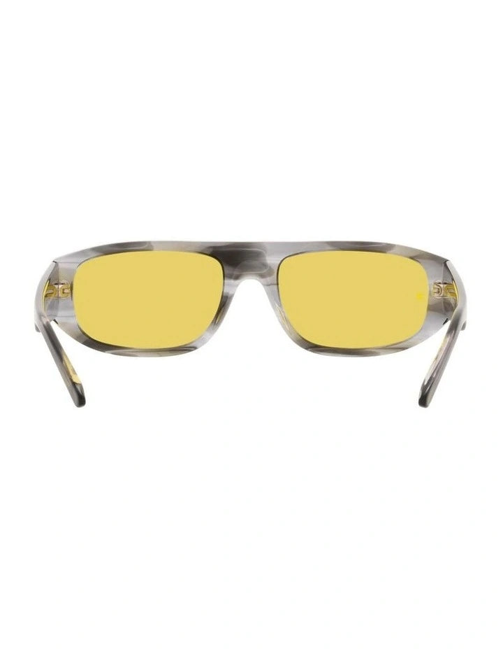 Arnette  AN4292 Gullwing Grey Sunglasses ZAYN