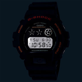 G-SHOCK DW-6900UB-9DR